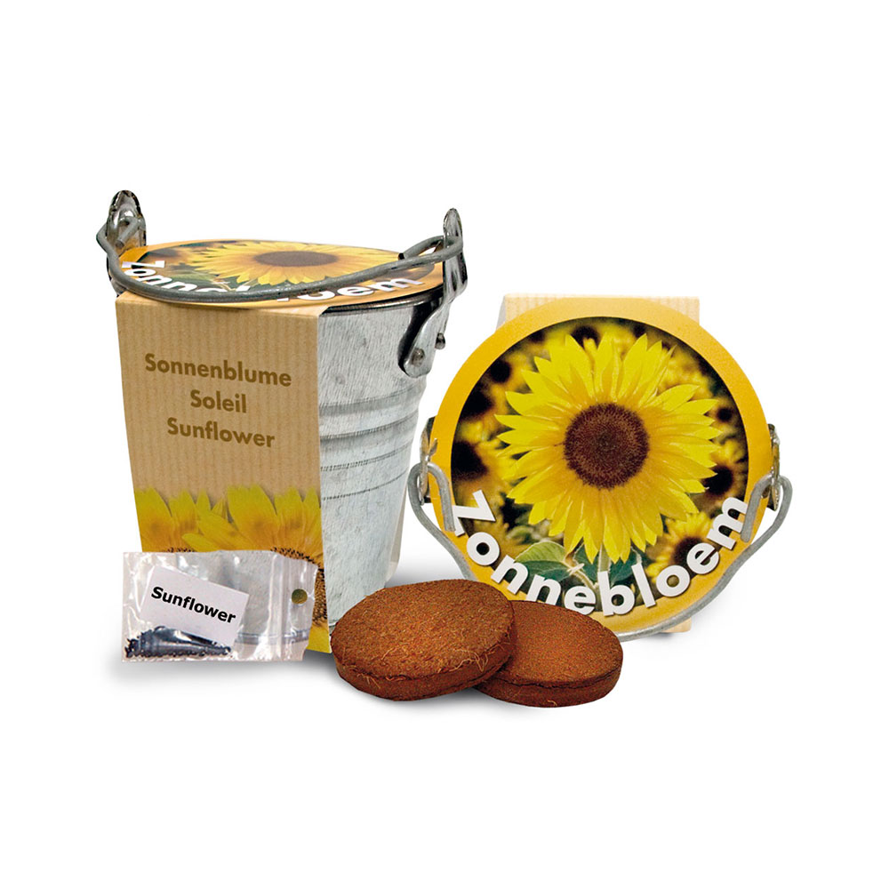 Zinkhink 10CM med frön